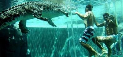 W basenie z krokodylem